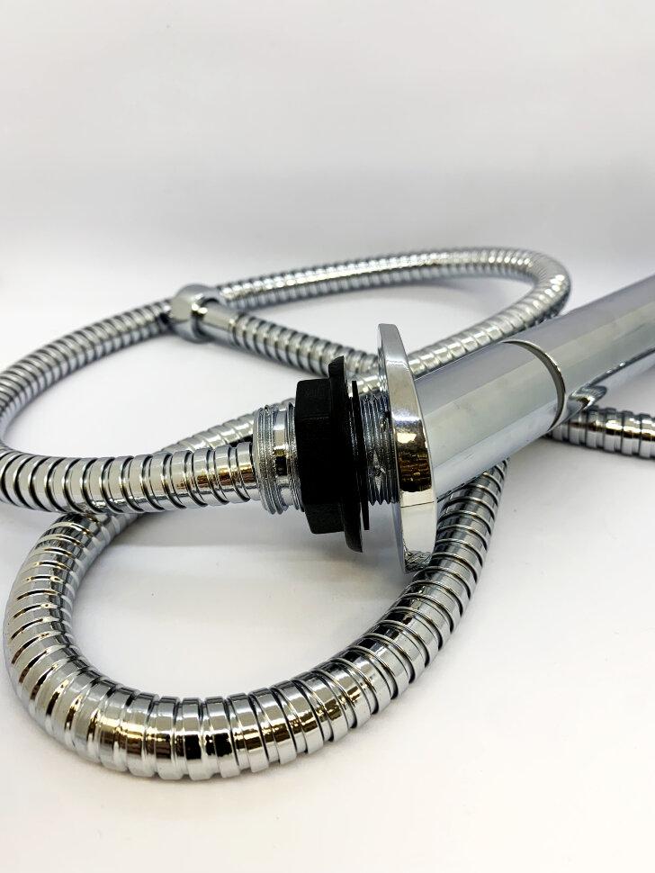 Шланг с душевой лейкой Reich Trend хром